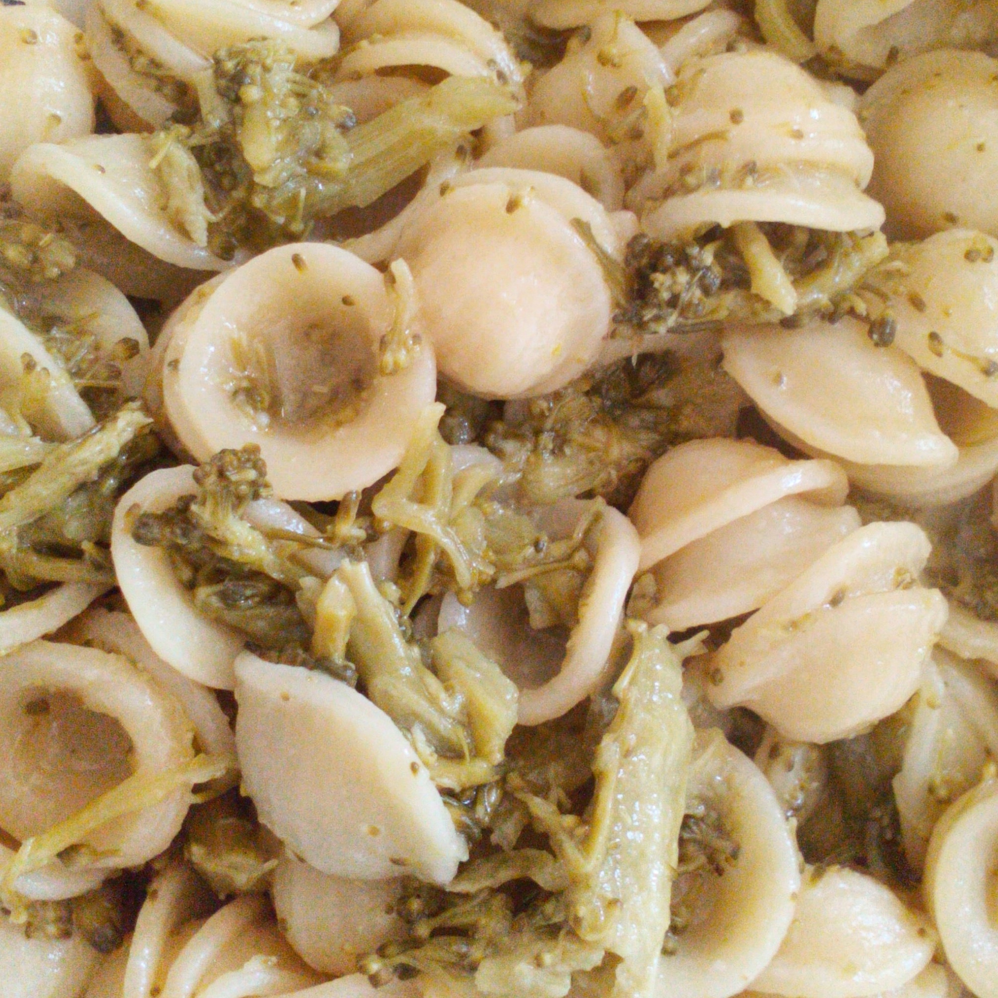 ORECCHIETTE CON BROCCOLI